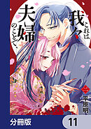 これは我々夫婦のことで、【分冊版】　11