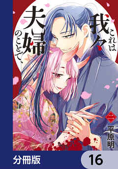 これは我々夫婦のことで、【分冊版】　16