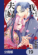 これは我々夫婦のことで、【分冊版】　19