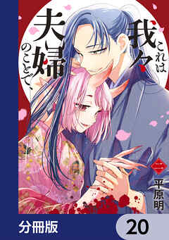 これは我々夫婦のことで、【分冊版】　20