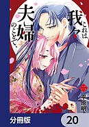 これは我々夫婦のことで、【分冊版】　20