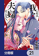 これは我々夫婦のことで、【分冊版】　21