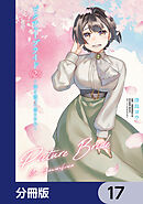 ピクチャーブライド【分冊版】　17