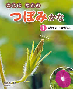 これはなんのつぼみかな　(1)こうてい・かだん