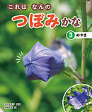 これはなんのつぼみかな　(3)のやま