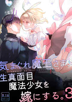 気まぐれ魔王さま、生真面目魔法少女を嫁にする。3