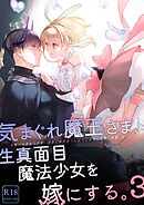 気まぐれ魔王さま、生真面目魔法少女を嫁にする。3