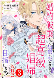 婚約破棄されて娼館に売られる（予定）なので、超高級娼婦を目指します！【合冊版】3