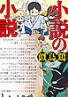 小説の小説【電子特典付き】