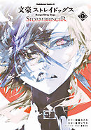 文豪ストレイドッグス ＳＴＯＲＭ ＢＲＩＮＧＥＲ