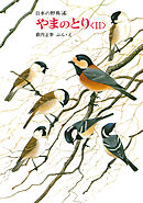 やまのとり<II>　日本の野鳥４