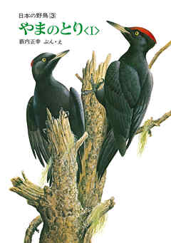 やまのとり<I>　日本の野鳥３
