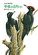 やまのとり<I>　日本の野鳥３