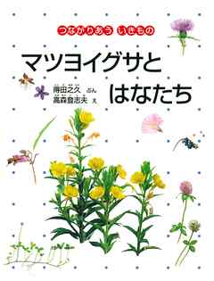 マツヨイグサとはなたち　つながりあう いきもの