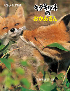 キタキツネのおかあさん