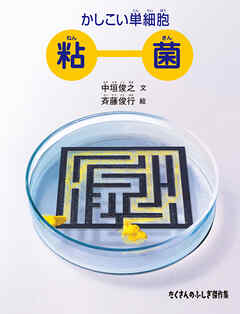 かしこい単細胞 粘菌