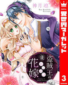 盗賊王のおしのび花嫁 3