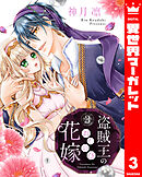 盗賊王のおしのび花嫁 3