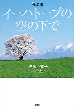 作品集 イーハトーブの空の下で