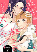 ただ撫でるだけのカンケイ 分冊版 ： 2