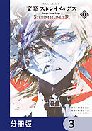 文豪ストレイドッグス ＳＴＯＲＭ ＢＲＩＮＧＥＲ【分冊版】　3