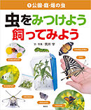 公園・庭・畑の虫