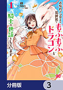 お疲れアラサーは異世界でもふもふドラゴンと騎士の世話をしています【分冊版】　3