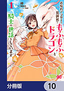 お疲れアラサーは異世界でもふもふドラゴンと騎士の世話をしています【分冊版】　10