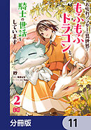 お疲れアラサーは異世界でもふもふドラゴンと騎士の世話をしています【分冊版】　11