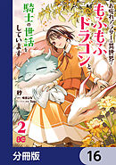 お疲れアラサーは異世界でもふもふドラゴンと騎士の世話をしています【分冊版】　16