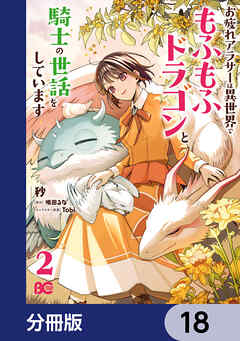 お疲れアラサーは異世界でもふもふドラゴンと騎士の世話をしています【分冊版】　18
