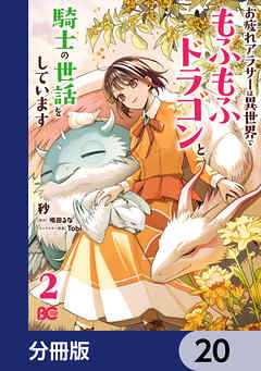 お疲れアラサーは異世界でもふもふドラゴンと騎士の世話をしています【分冊版】　20
