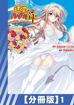 【分冊版】辻堂さんのバージンロード Adult Edition（１）