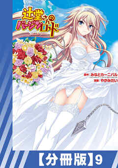 【分冊版】辻堂さんのバージンロード Adult Edition（９）