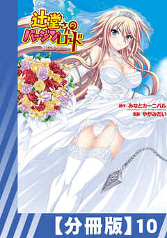 【分冊版】辻堂さんのバージンロード Adult Edition（１０）