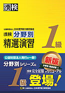 漢検 1級 分野別 精選演習