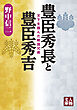 豊臣秀長と豊臣秀吉　天下を掴んだ戦国兄弟
