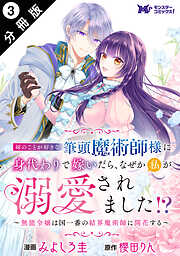 姉のことが好きな筆頭魔術師様に身代わりで嫁いだら、なぜか私が溺愛されました！？ ～無能令嬢は国一番の結界魔術師に開花する～（コミック） 分冊版