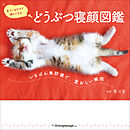 どうぶつ寝顔図鑑 ～いちばん無防備で、愛おしい瞬間～