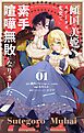 傾国の美姫はステータス変更で素手喧嘩無敗になりました【単話】 1