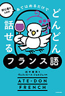 初心者のための　あてはめるだけでどんどん話せるフランス語