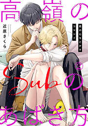 【期間限定　無料お試し版】高嶺のSubのあばき方～君の心をとかすコマンド～