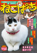 ねこぱんち No.221 まるまり秋ネコ号