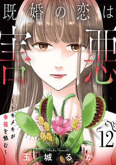 既婚の恋は害悪～トキメキが幸福を蝕む～【単話】（12）