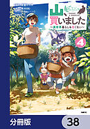山、買いました ～異世界暮らしも悪くない～【分冊版】　38