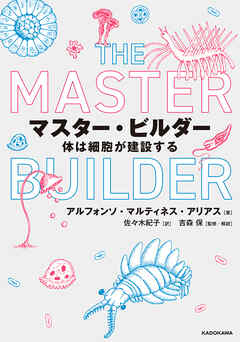 マスター・ビルダー　体は細胞が建設する