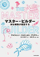 マスター・ビルダー　体は細胞が建設する