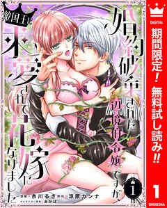 【期間限定　無料お試し版】婚約破棄された辺境伯令嬢ですが、敵国王に求愛されて花嫁になりました