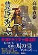 豊臣秀長　我、日輪の柱たらん