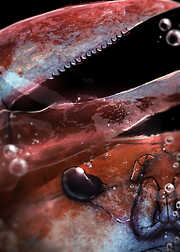 夫の島を燃やしたい【フルカラー】【タテヨミ】